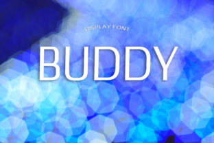 Buddy Display Font for Web Design and Branding