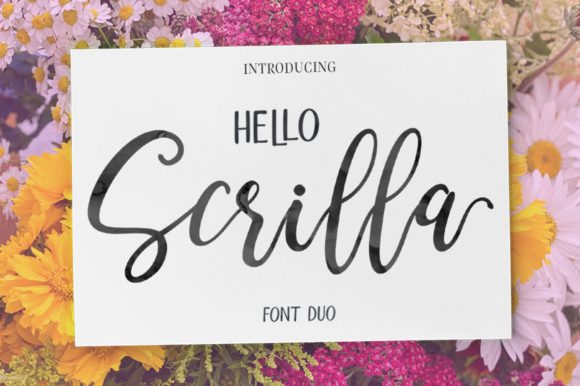 Hello Scrilla Script Font for Modern Editorial Design
