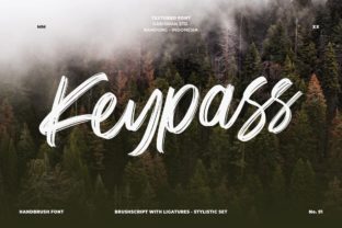 Keypass: A Bold Brush Font for Creative Typography