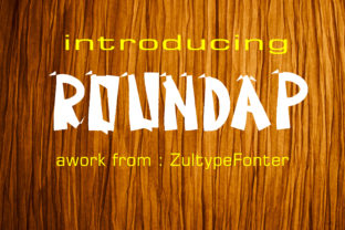 Roundap: A Playful Display Font for Bold Editorial Design