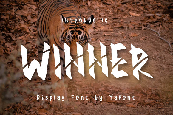 Winner: A Bold Display Font for Creative Projects